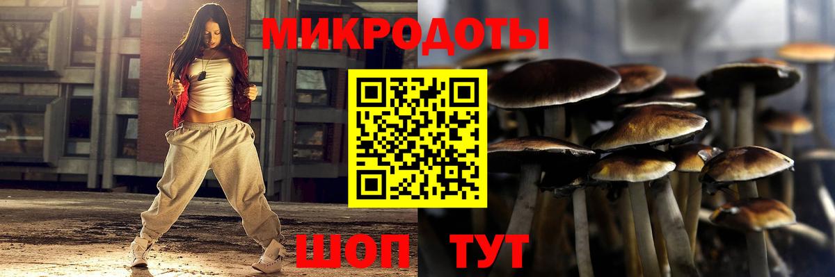 Псилоцибиновые грибы мицелий  Вход с VPN  Грозный 